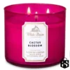 White Barn Cactus Blossom 3 Wick Candle