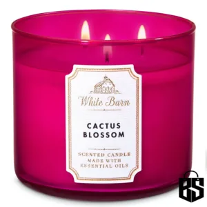 White Barn Cactus Blossom 3 Wick Candle
