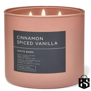 White Barn Cinnamon Spiced Vanilla 3 Wick Candle