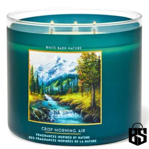 White Barn Crisp Morning Air 3 Wick Candle